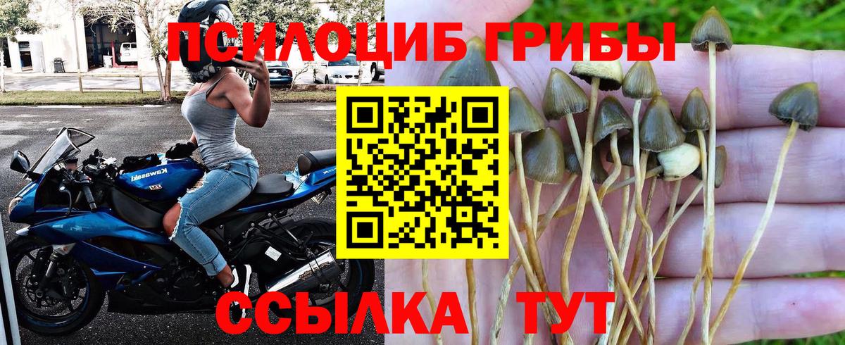 Псилоцибиновые грибы ЛСД  купить  сайты  Псилоцибиновые грибы прущие грибы  Балахна  Вход с VPN 